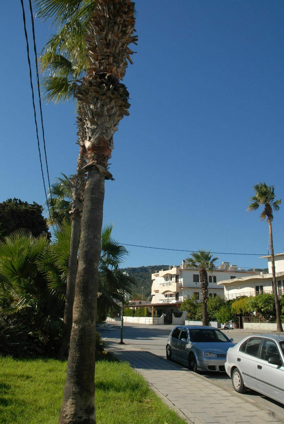 Takis Hotel Apartments Ialisos Exterior foto